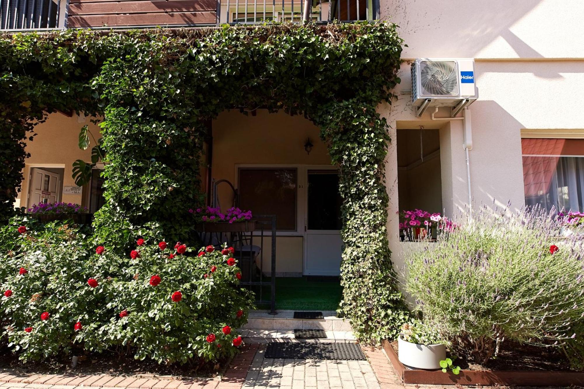 Osrodek Wypoczynkowy Relaks I Apartamenty Łeba Rom bilde